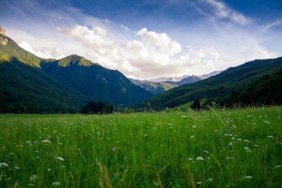 meadow in the mountains, wide angle, nature photography, high resolution, high details, green grass with white flowers, blue sky with clouds, mountains in the background, in the style of canon eos r5 --ar 128:85