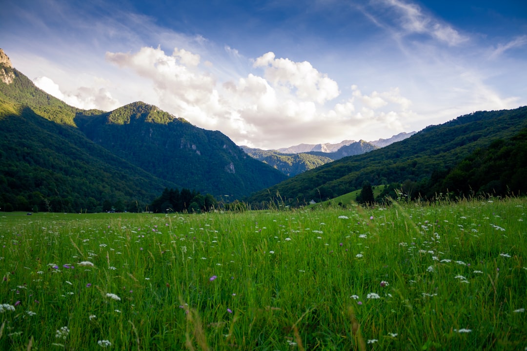 meadow in the mountains, wide angle, nature photography, high resolution, high details, green grass with white flowers, blue sky with clouds, mountains in the background, in the style of canon eos r5 –ar 128:85