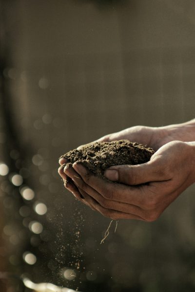 Photograph of hands holding soil, macro photography, shallow depth of field, soft lighting, bokeh background, sunlight, professional photograph, high resolution. The photograph was taken in the style of a professional with shallow depth of field, soft lighting and a bokeh background to draw attention to the hands holding soil in the sunlight. --ar 85:128