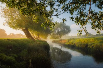 In the morning, there is mist on both sides of an ancient willow tree by a small river in England. The grassy meadow has green and lush trees along it, creating a peaceful atmosphere. In front of you can see a beautiful landscape with a river flowing through the countryside, adding to its beauty. This scene captures the serene nature of English landscapes, reminiscent of traditional rural life. It's a picturesque view that evokes tranquility and harmony in the style of traditional rural paintings. --ar 128:85