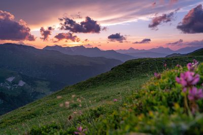 A beautiful sunset over the Alps with purple and pink clouds, green grass on top of the mountains, wild flowers in the foreground, landscape photography in the style of Canon EOS R5. --ar 128:85