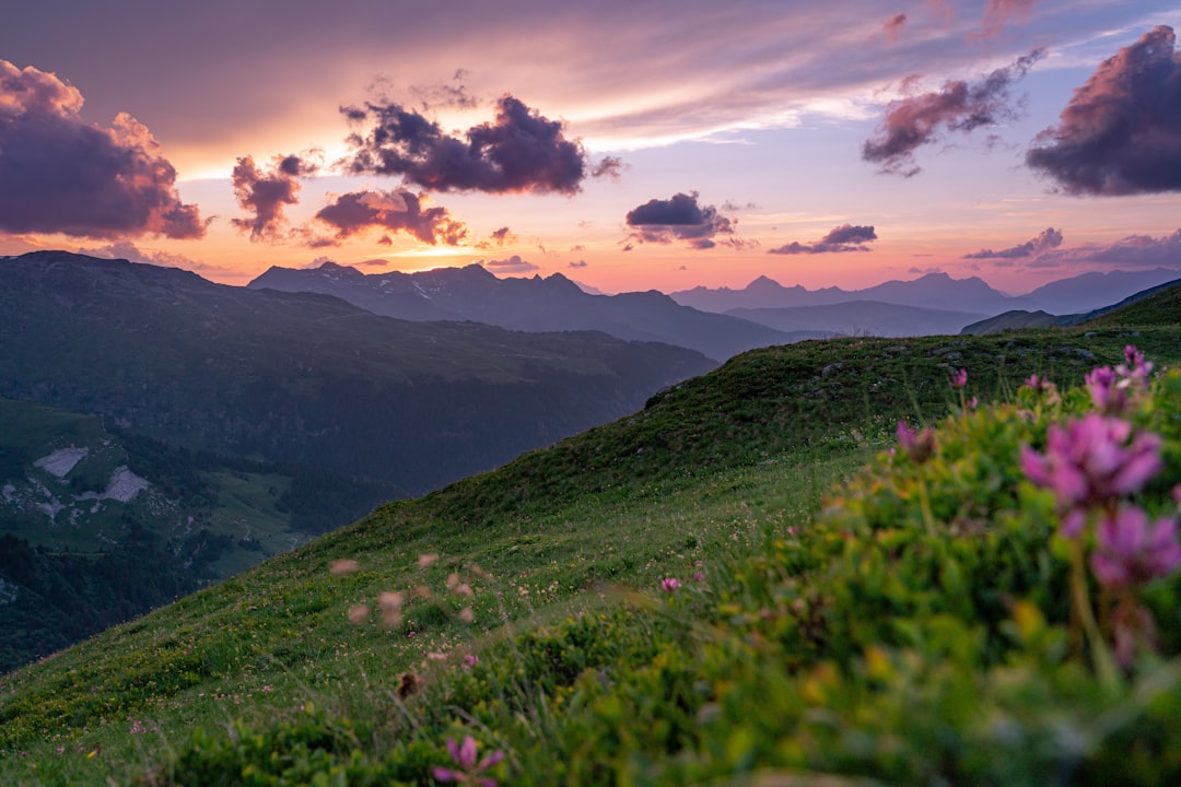 A beautiful sunset over the Alps with purple and pink clouds, green grass on top of the mountains, wild flowers in the foreground, landscape photography in the style of Canon EOS R5. –ar 128:85