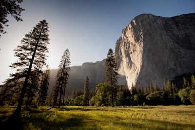 A wide angle photo of El Capitan in Yosemite National Park, with tall trees and a grassy meadow in the foreground, during golden hour lighting, shot on a Sony Alpha A7 III in the style of no particular artist. --ar 128:85