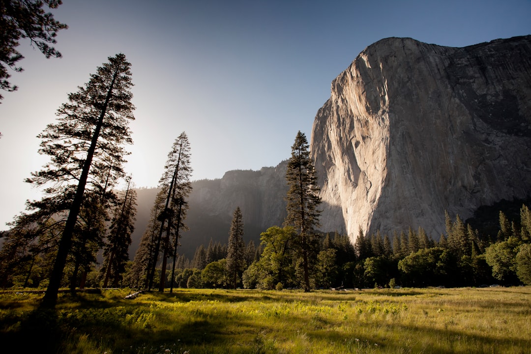 A wide angle photo of El Capitan in Yosemite National Park, with tall trees and a grassy meadow in the foreground, during golden hour lighting, shot on a Sony Alpha A7 III in the style of no particular artist. –ar 128:85