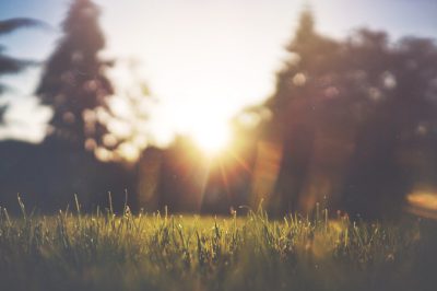 A photo of grass in the foreground, blurry people and trees in the background, blurry sun rays, low angle shot, in the style of unsplash photography. --ar 128:85