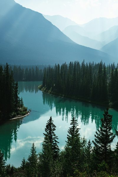 Photograph of the Canadian rocky mountains, pine forest and turquoise lake with misty peaks in the background, view from above, high resolution photography, realism, sunlight, natural light, global illumination, professional color grading, clean sharp focus, depth of field, film grain. Photograph in the style of professional photography with realistic lighting effects, high image quality, and attention to compositional details like focus and color. --ar 85:128