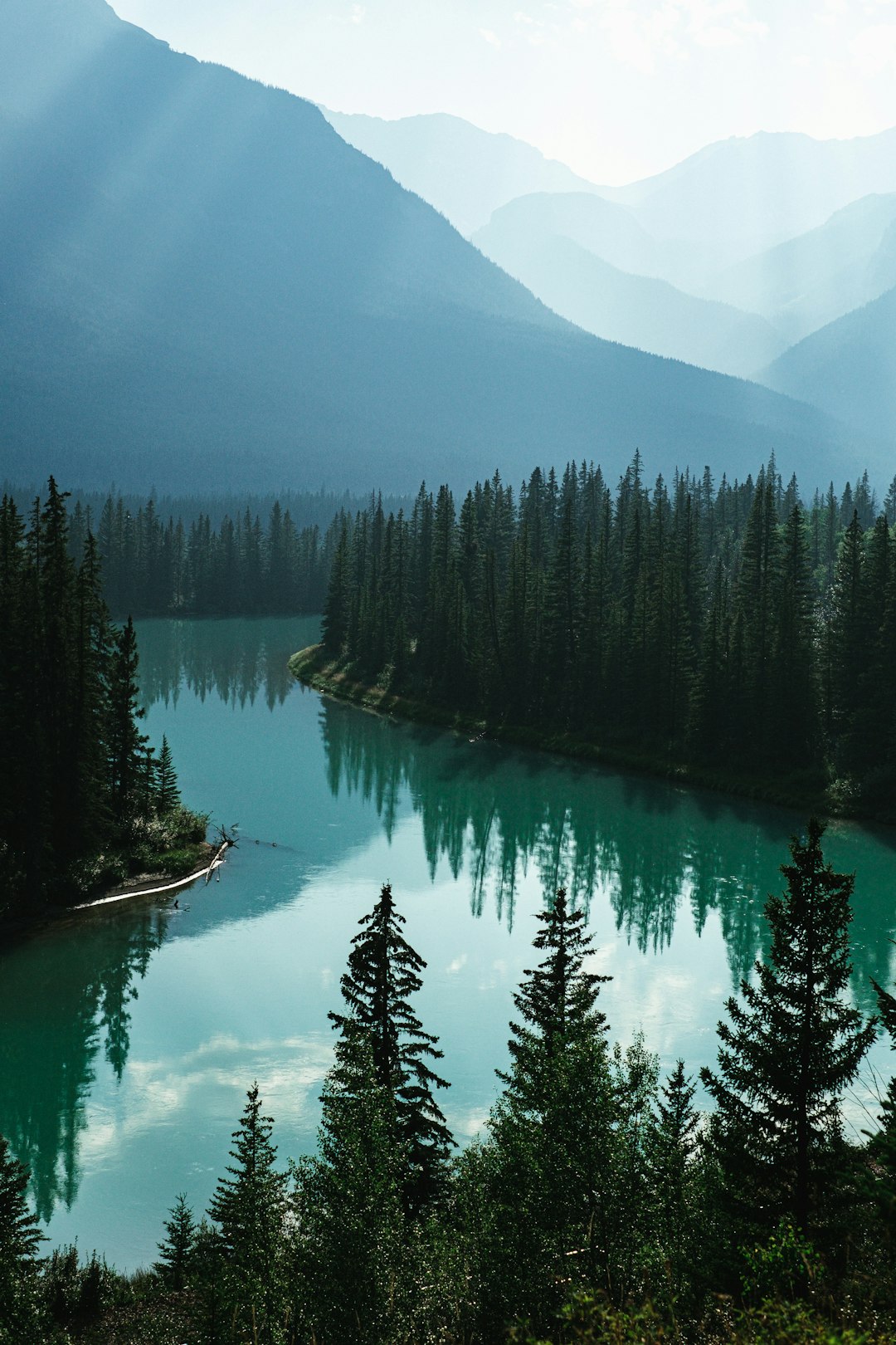 Photograph of the Canadian rocky mountains, pine forest and turquoise lake with misty peaks in the background, view from above, high resolution photography, realism, sunlight, natural light, global illumination, professional color grading, clean sharp focus, depth of field, film grain. Photograph in the style of professional photography with realistic lighting effects, high image quality, and attention to compositional details like focus and color. –ar 85:128