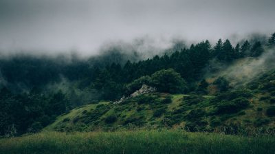 A green hillside with trees and fog in the background, in the style of unsplash photography. --ar 128:71