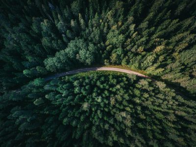 Aerial view of the forest road in Leningrad region, which passes through a dense green wall of pine and spruce forests. The winding road has curves and turns, leading to mystery and tranquility. Captured in the style of DJI Mavic Pro 3, with a high resolution of 8K, presenting a stunning landscape photography style. This photo was taken from above using a wide-angle lens, showcasing the vastness of nature. It creates a feeling of freedom, exploration or adventure. --ar 4:3