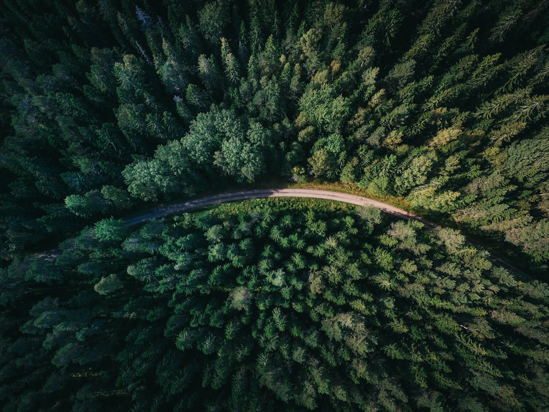 Aerial view of the forest road in Leningrad region, which passes through a dense green wall of pine and spruce forests. The winding road has curves and turns, leading to mystery and tranquility. Captured in the style of DJI Mavic Pro 3, with a high resolution of 8K, presenting a stunning landscape photography style. This photo was taken from above using a wide-angle lens, showcasing the vastness of nature. It creates a feeling of freedom, exploration or adventure. –ar 4:3