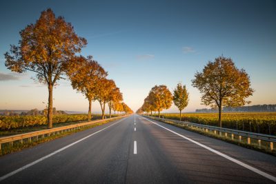 An empty highway in Germany with trees on the sides, during golden hour, with a blue sky, in the autumn season, the trees have yellow leaves, vineyards can be seen on both sides of the road, a clear horizon line, no cars or people are visible, shot from a low angle, the photo taken in the style of a Canon dslr camera. --ar 128:85