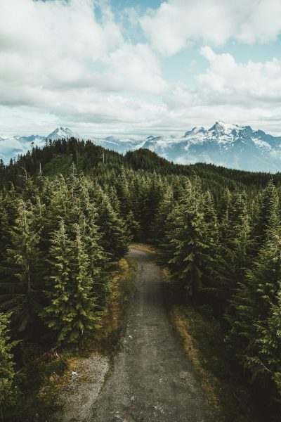 A photo of the top view of an old forest road in British Columbia with tall trees on both sides leading to snowcapped mountains far off in the distance, cloudy sky, in the style of unsplash photography. --ar 85:128