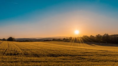 A photo of a golden sunset over a field with a clear blue sky. The sun is shining and casting long shadows across the landscape. There are some tall trees in the distance. The fields have just been cut down in the style of grain harvesters. Shot on a Sony Alpha A7 III, 35mm f/24. --ar 16:9