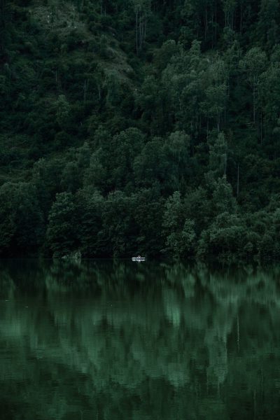 a dark green lake surrounded by dense forest, with a small boat in the water, reflection photography, science fiction, minimalism, 2K, high resolution --ar 85:128