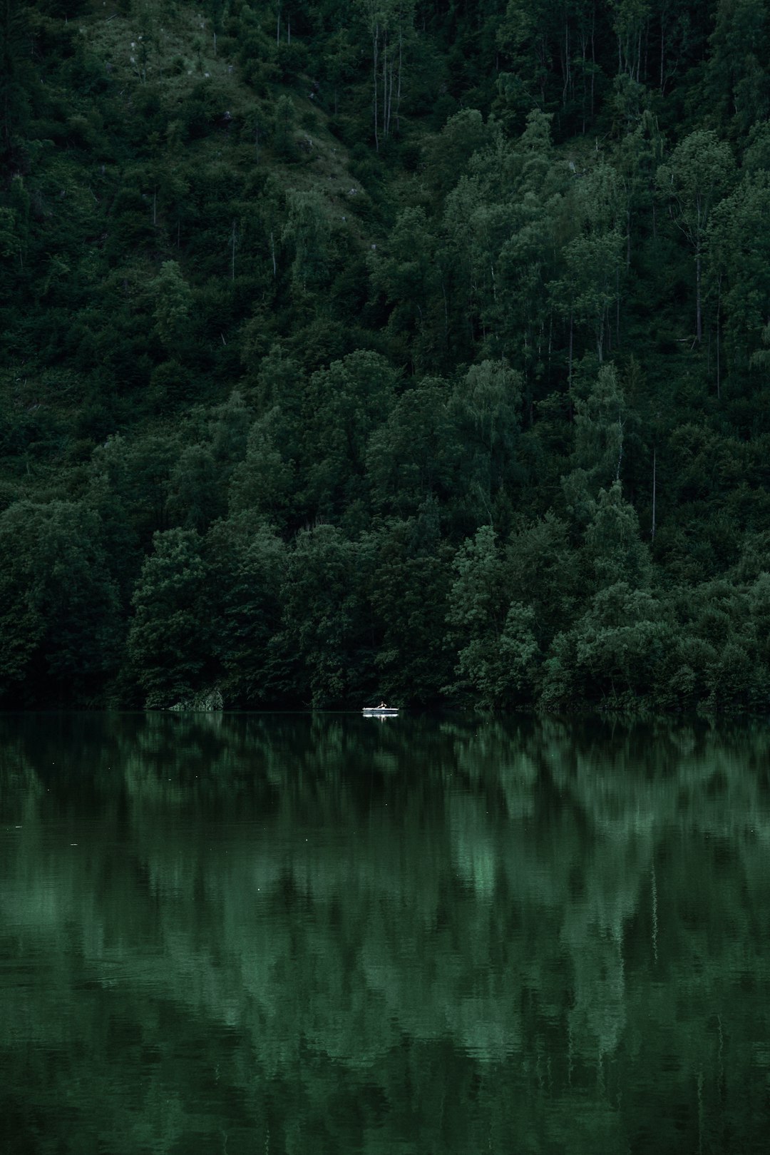 a dark green lake surrounded by dense forest, with a small boat in the water, reflection photography, science fiction, minimalism, 2K, high resolution –ar 85:128