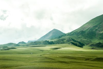 A wide shot of the vast green grasslands and rolling hills of Tibet, with distant mountains in soft focus. The sky is overcast, adding depth to the scene. In one corner there's an herder’s yurt nestled among trees on a small hillside. There's no human presence visible but some grazing animals in the distance. Captured using Canon EOS R5 camera with an RF 2470mm f/8 lens at ISO 630 for filmlike graininess. --ar 128:85