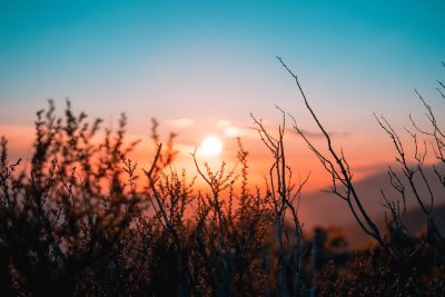 photograph of Sunset in the mountains, with some dry branches in the foreground, the sky is blue and orange, shot in the style of Sony Alpha A7 III --ar 128:85