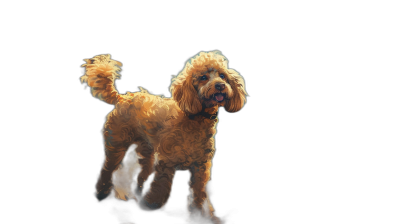 Cute golden poodle dog standing on a black background, in the digital art style, with high resolution and a wide shot with warm lighting showing the full body of the pooch.