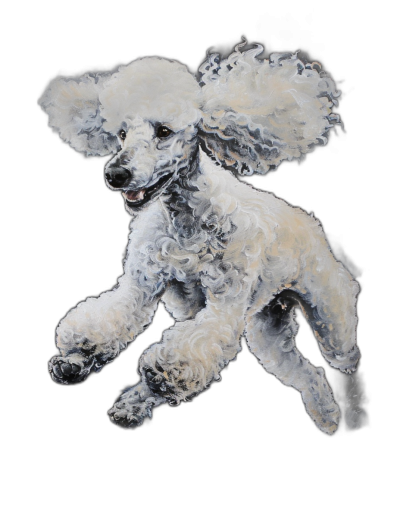 white poodle jumping, full body, detailed watercolor, high detail, clean black background, hyper realism style, fulllength portrait, oil on canvas, high resolution, hyperdetailedistic