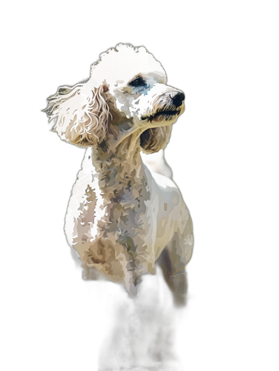 abstract full body portrait of a white poodle dog against a black background, digital art in the style of Mike Wre. A brilliant mood and tone with fine details, a beautiful, delicate piece.