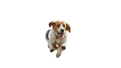 A Beagle dog jumping, flying towards the camera on black background, 3d rendering, closeup shot