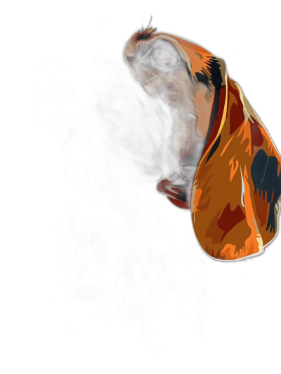 A digital illustration of an orange dachshund head looking up in a cartoon style as vector art against a black background. The artwork is colorful yet simple and minimalistic with a side view closeup. There are dark shadows and light effects with a strong contrast between the dog's body in shadow and only his ears illuminated by sunlight. The dog is isolated on a solid black color and presented at a high resolution of 30k.