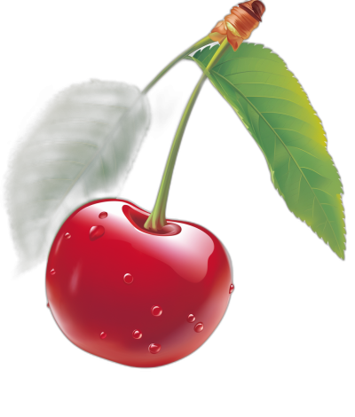 A realistic vector illustration of red cherries with green leaves on a black background, in the style of [Alan Lee](https://goo.gl/search?artist%20Alan%20Lee) and [Goro Fujita](https://goo.gl/search?artist%20Goro%20Fujita), high resolution.