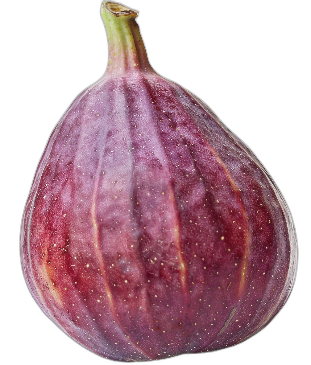 An ultrarealistic photograph of an entire fig isolated on black background, high resolution digital photography in the style of Aardman split lighting, natural colors, studio portrait, hard light, fujifilm provia color negative film stock