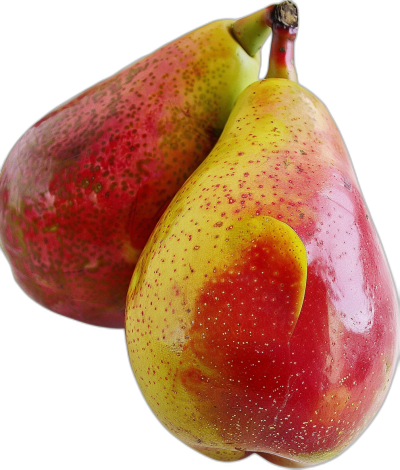 A closeup of two red and yellow pears, their skin textured with speckles in shades of pink to dark green, against a black background. The pear's shape is unique; one has an extra leafshaped mouth at the top while another showcases vibrant spots along its length.