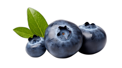 Three fresh blueberries with leaves isolated on a black background, a realistic photography in the style of nature.