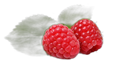 Rramdown, two raspberries with green leaves on black background, closeup, high resolution photography, high quality photo realistic design, hyper detailed, hyperrealistic, product studio photography, isolated on plain dark gradient background,