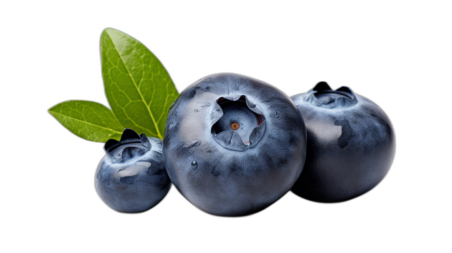 Three fresh blueberries with leaves isolated on a black background, a realistic photography in the style of a professional studio, a high resolution digital photograph suitable for stock photo and advertising.