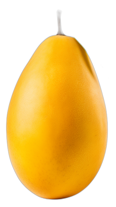 Realistic photograph of an complete yellow mango, solid stark black background, focused lighting