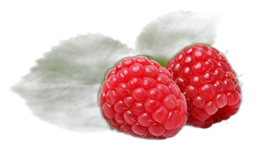 R Look at the two raspberries on black background, high resolution photography