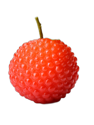 A single lychee with glossy red skin and round shape is set against a black background, highlighting its vibrant color and unique texture. The focus is on the smooth surface and soft edges of the fruit's, creating an attractive visual appeal. The photography style emphasizes the juicy appearance of the berry with high-quality studio lighting.