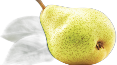 close up of pear, isolated on black background, by slimane, photorealistic, green and yellow tones, high resolution, by [Gregory Crewdson](https://goo.gl/search?artist%20Gregory%20Crewdson), by dana Trippe, by [Donato Giancola](https://goo.gl/search?artist%20Donato%20Giancola), by brian mohrman, by kate Baylay