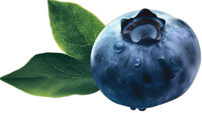 A closeup illustration of an isolated blueberry with water droplets and green leaves on its side, presented in front view against black background. The focus is on the detailed texture of both elements, highlighting their natural beauty. This composition creates a sense of freshness and realism that adds to overall appeal of fresh fruit, perfect for commercial or advertising purposes.