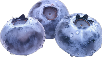 close up of three blueberries with water droplets on them, black background, photorealistic, hyperrealism, octane render, high resolution photography, hyper realistic, hyper detailed,