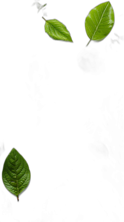 3 small green leaves floating on black background, simple and minimalistic, mobile wallpaper