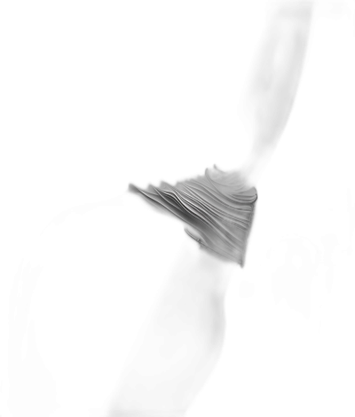 A black and white photograph of an abstract, blurred mushroom cap with its wavy lines, against a dark background. The photo is taken from the side in low light, creating a dramatic effect that emphasizes texture and form. This monochromatic composition adds depth to the minimalist scene by using negative space for text or graphics.