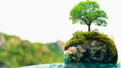 Close up of a small planet Earth with a tree on top, moss and water in the background, depicting a green environment concept against an isolated white background. Could serve as a banner for web design or graphic design work, with copy space, in the minimalistic style of a studio shot.