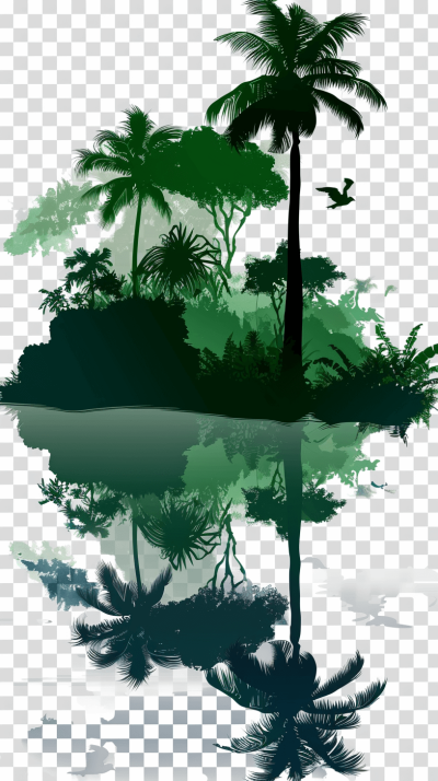 A tropical rainforest with palm trees and birds, with reflections on the water in the style of a vector illustration png transparent background clipart silhouette cutout