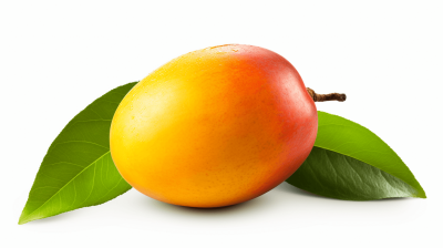 Mango with leaves isolated on white background, close up, high resolution photography. High quality photo, detailed, professional color grading, soft shadows., no contrast, clean sharp focus