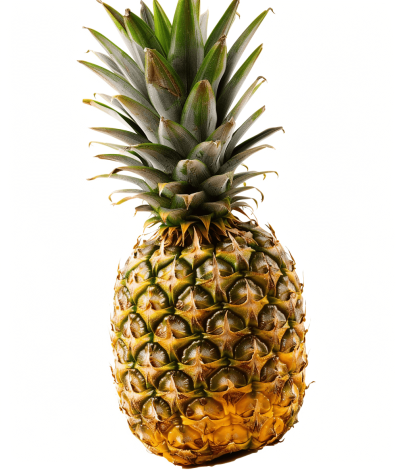 Pineapple, isolated on white background, in high resolution photography, in a professional photograph, with high definition, hyper realistic, with intricate detail, in the style of HDR.