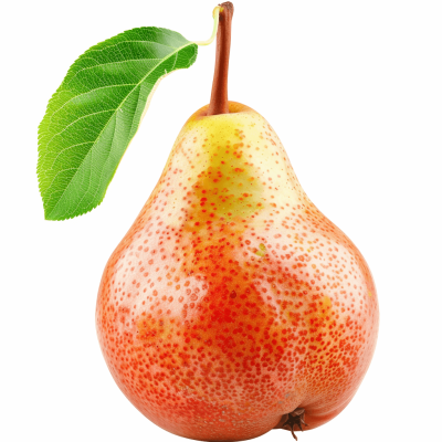 A realistic photo of an entire pear, isolated on white background with clipping path. Full Depth and Focus to the Background. A vibrant red and yellow colored transparent fresh pear fruit with green leaf is in focus.