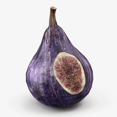 A purple fig, cut in half to reveal the juicy center and intricate patterns inside, set against a white background. Rendered in the style of photorealism with attention to texture details of both parts. High resolution and realistic appearance.