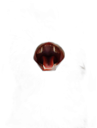 A photo of an open mouth with fangs in the dark, top view, taken from far away, high contrast, high details, in the style of hyper realistic.