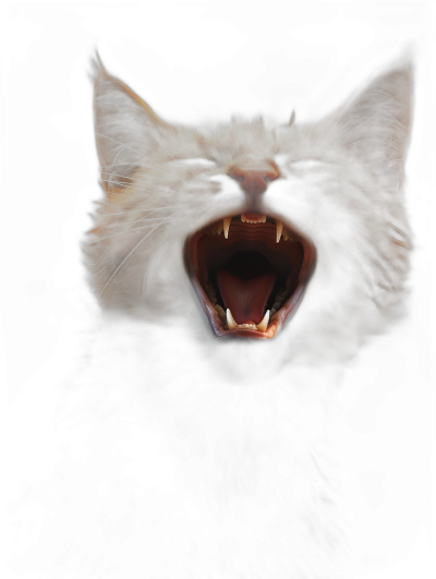 A cat with sharp teeth screaming in the dark, in the style of digital art, a digital painting with a black background in a hyper realistic style.