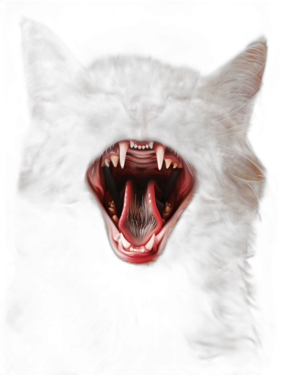 a digital painting of an angry cat's mouth, sharp teeth showing, solid black background, hyper realistic, hyper detailed