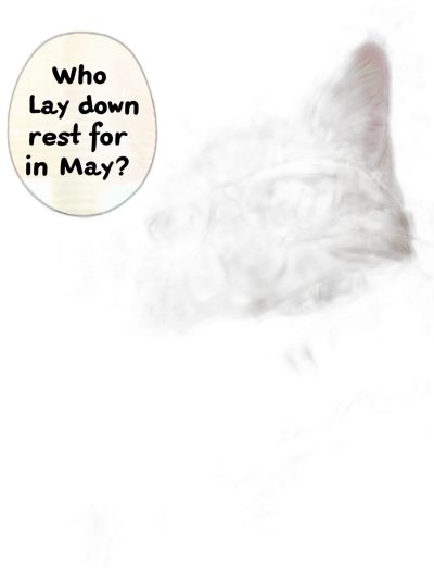 a dark background with the moonlight shining on an cat wearing glasses, text above says "Who lay down for rest in May?" in cartoon style